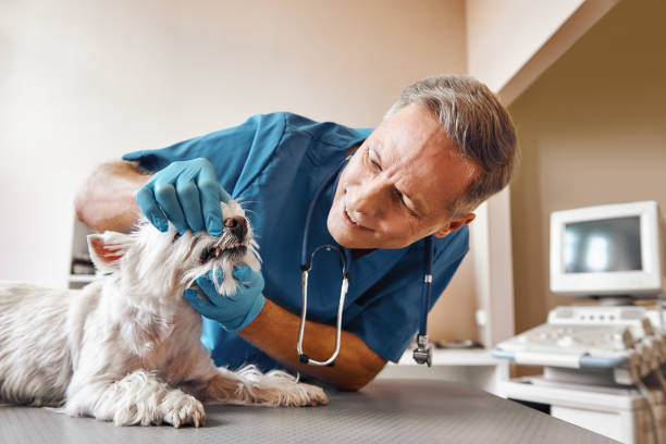 Best Emergency Tooth Extraction in Fort Carson, CO